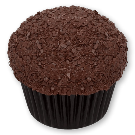 Sprinkles dark chocolate cupcake.